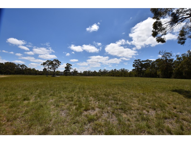 16 Ritchie Road, Willow Vale NSW 2575