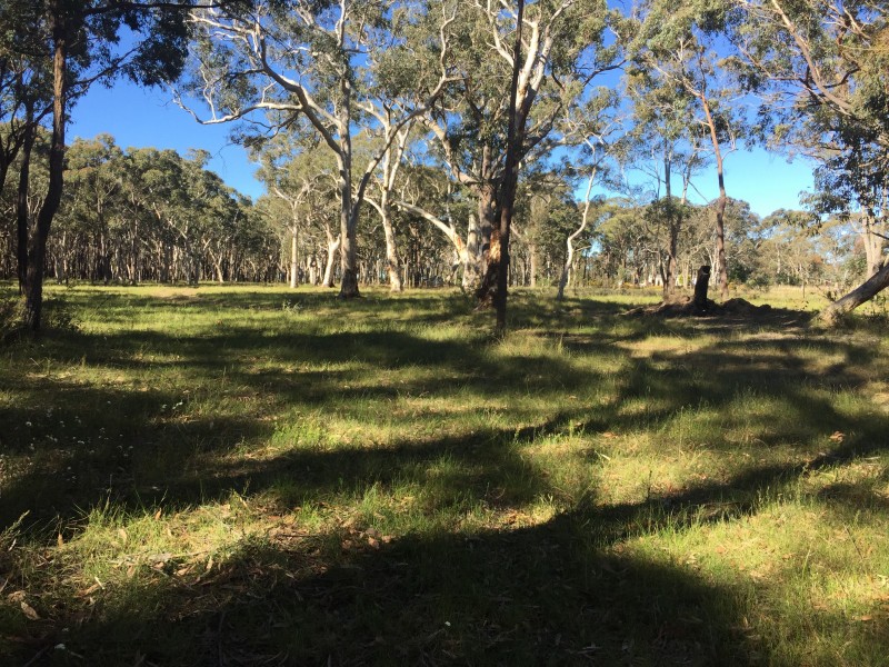 93 Colo Road (Lot 210), Colo Vale NSW 2575