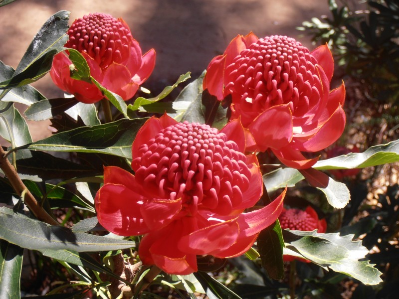 42-44 Cordeaux Street, Willow Vale NSW 2575