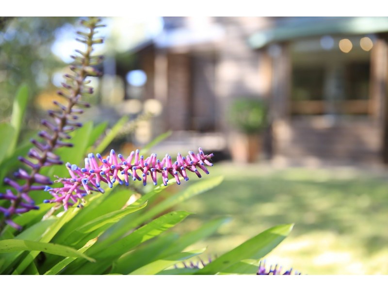 42-44 Cordeaux Street, Willow Vale NSW 2575