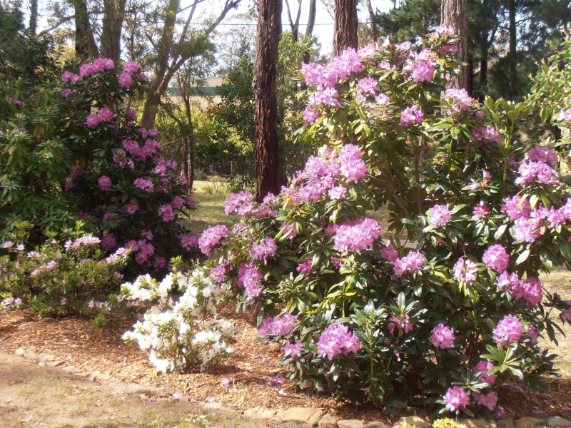 42-44 Cordeaux Street, Willow Vale NSW 2575