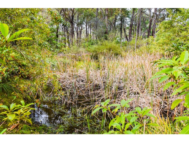 22 Harold Street, Hill Top NSW 2575