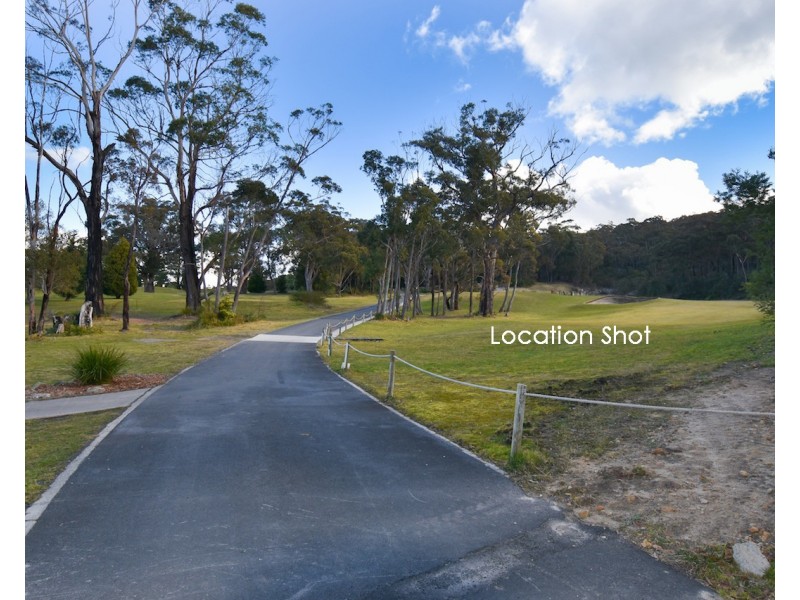 12A Willow Street, Willow Vale NSW 2575