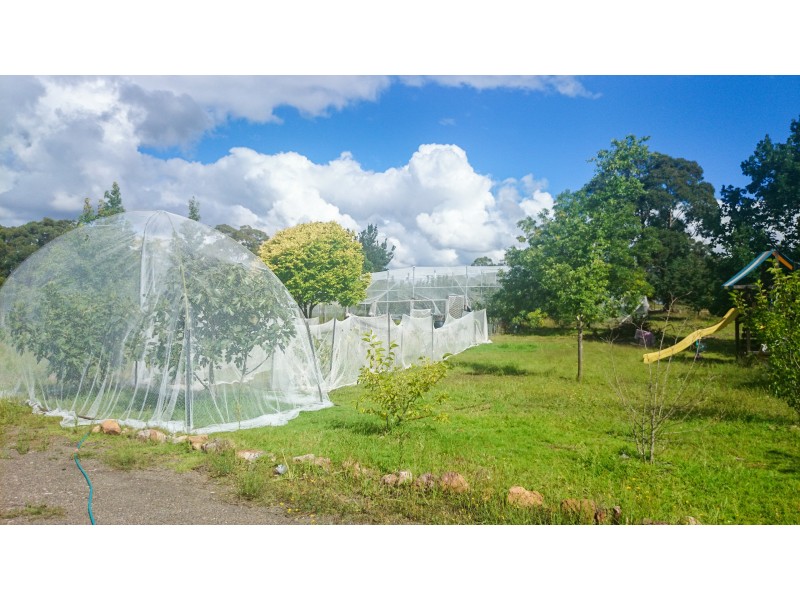 541 Tugalong Road, Canyonleigh NSW 2577