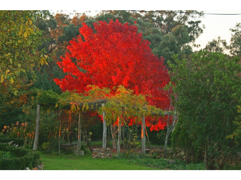 541 Tugalong Road, Canyonleigh NSW 2577