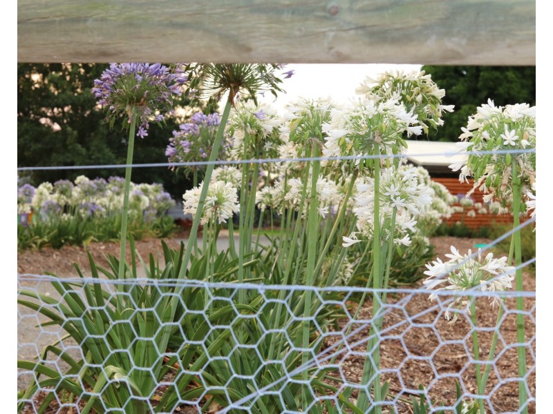 5 Acacia Street, Colo Vale NSW 2575