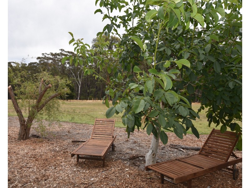 5 Acacia Street, Colo Vale NSW 2575