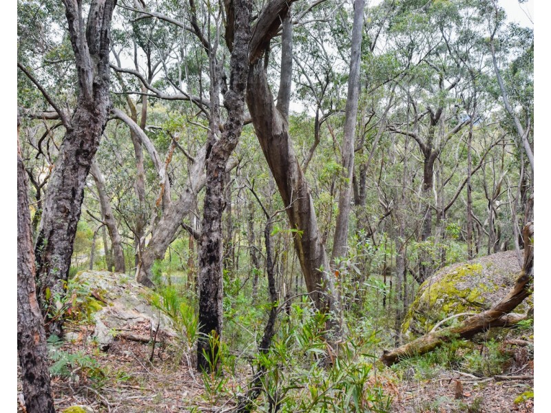 5 Acacia Street, Colo Vale NSW 2575