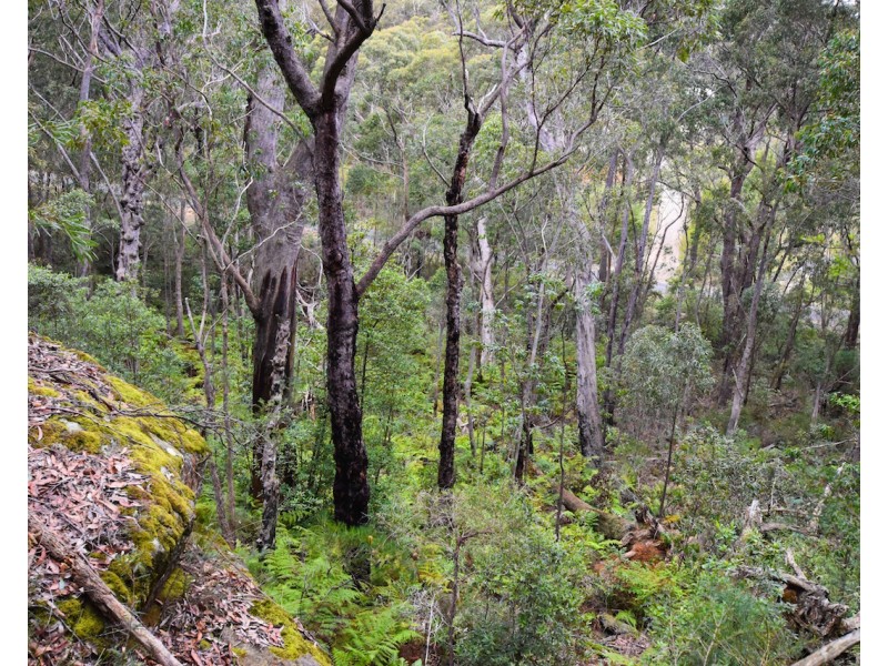 5 Acacia Street, Colo Vale NSW 2575