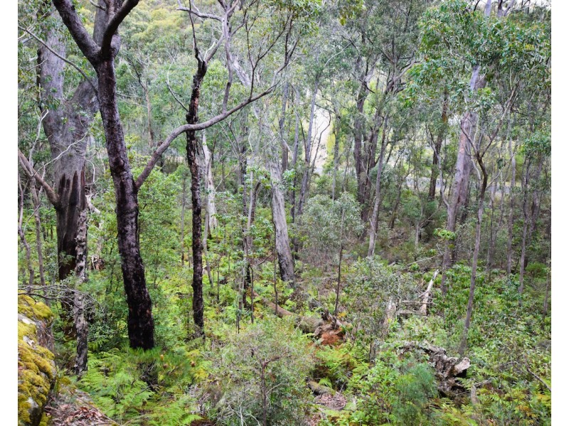 5 Acacia Street, Colo Vale NSW 2575