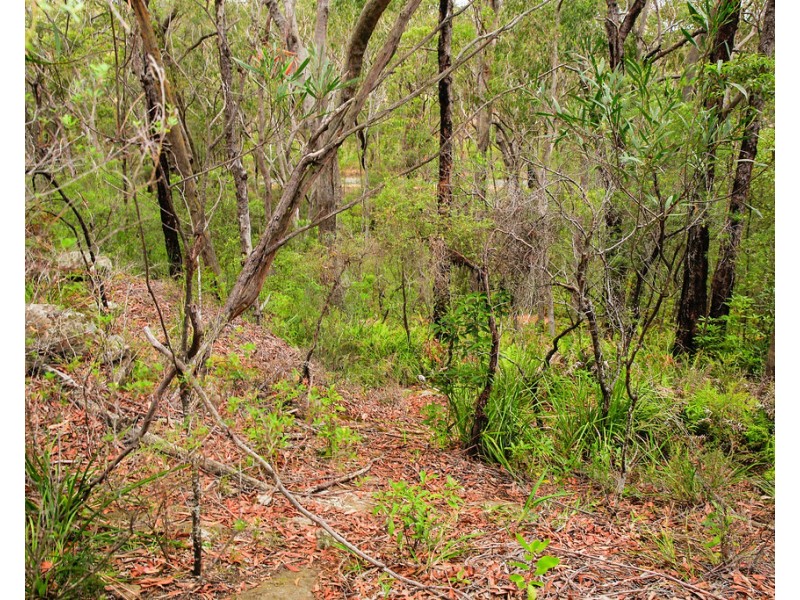 5 Acacia Street, Colo Vale NSW 2575