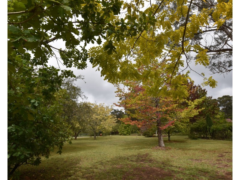 6 Drapers Road, Willow Vale NSW 2575