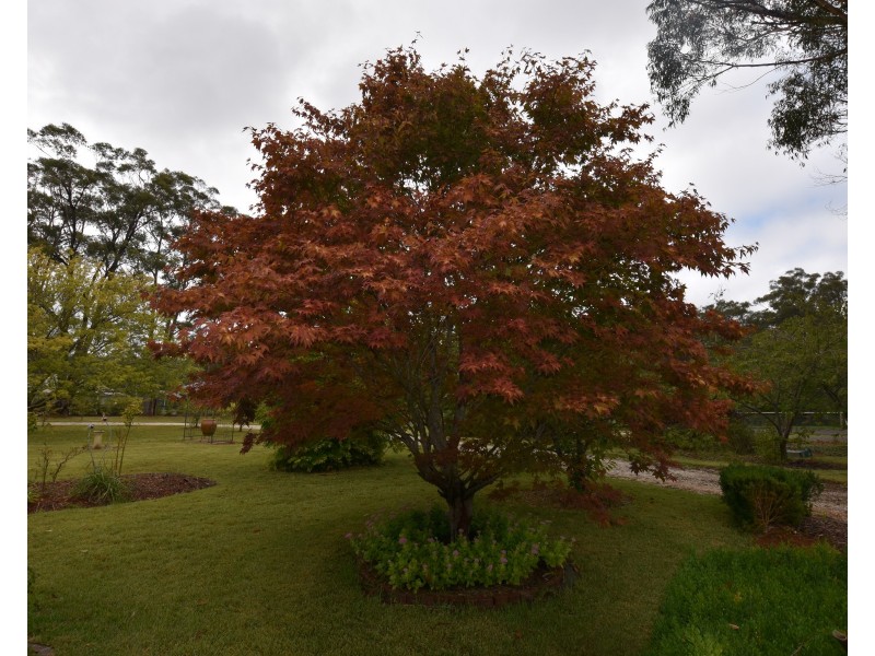 6 Drapers Road, Willow Vale NSW 2575