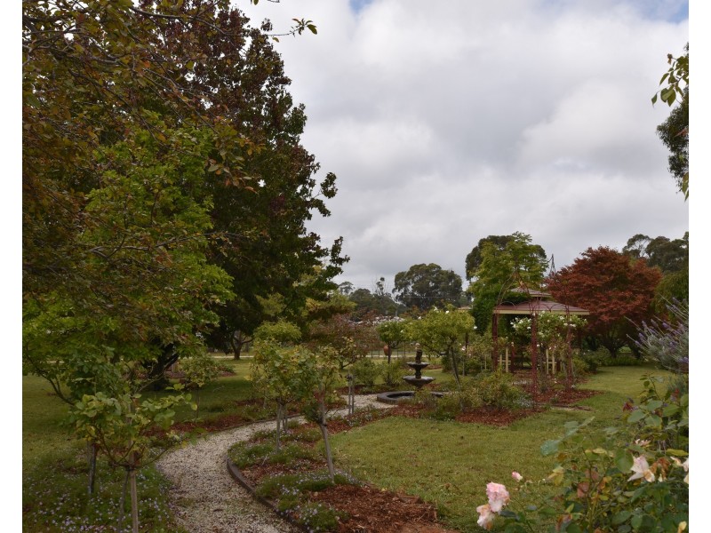 6 Drapers Road, Willow Vale NSW 2575