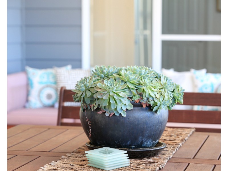 16  Raglan Street, Hill Top NSW 2575