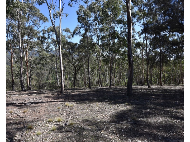 650 Bullio Trig Station Road, Bullio NSW 2575