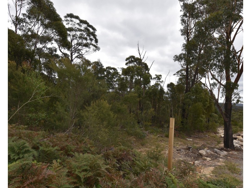 18 Gascoigne Street, Willow Vale NSW 2575