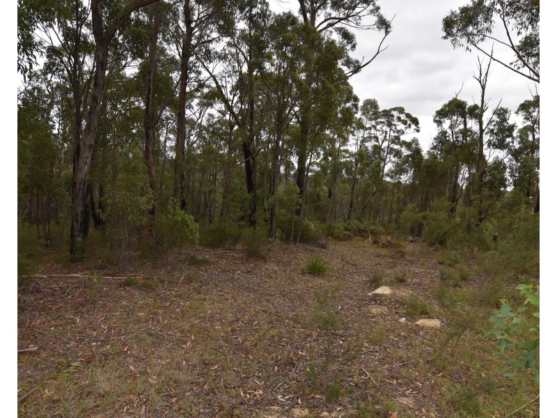 18 Gascoigne Street, Willow Vale NSW 2575