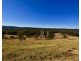 101 Spring Hills Road, Meryla NSW 2577