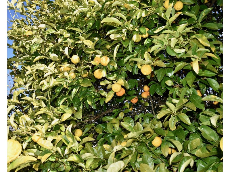 101 Spring Hills Road, Meryla NSW 2577