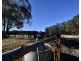 101  Spring Hills Road, Meryla NSW 2577