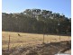 101  Spring Hills Road, Meryla NSW 2577