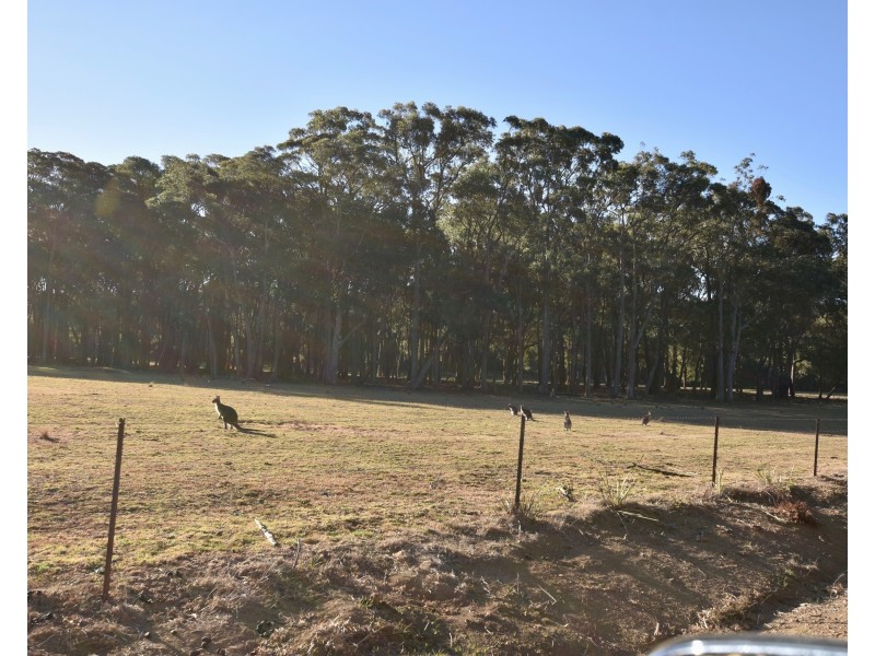 101  Spring Hills Road, Meryla NSW 2577
