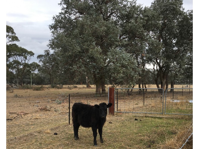 152 Brayton Road, Marulan NSW 2579