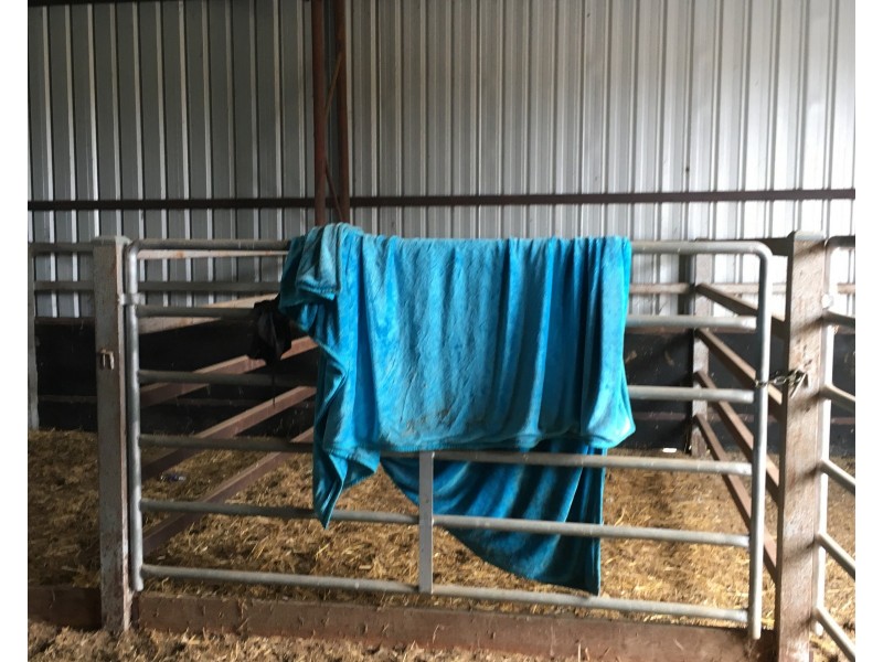 152 Brayton Road, Marulan NSW 2579