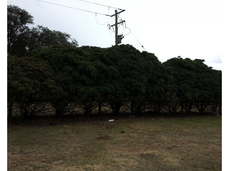 152 Brayton Road, Marulan NSW 2579