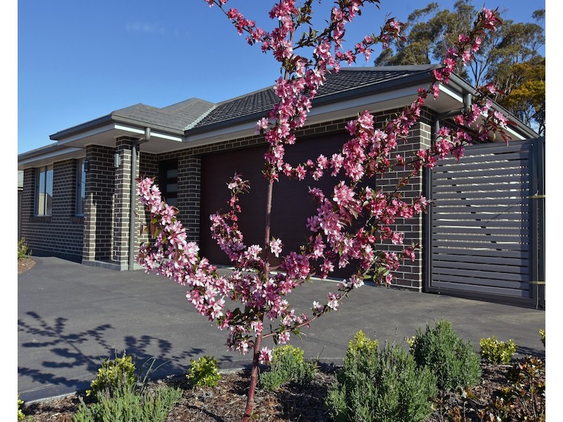 33  Red Gum Drive, Braemar NSW 2575