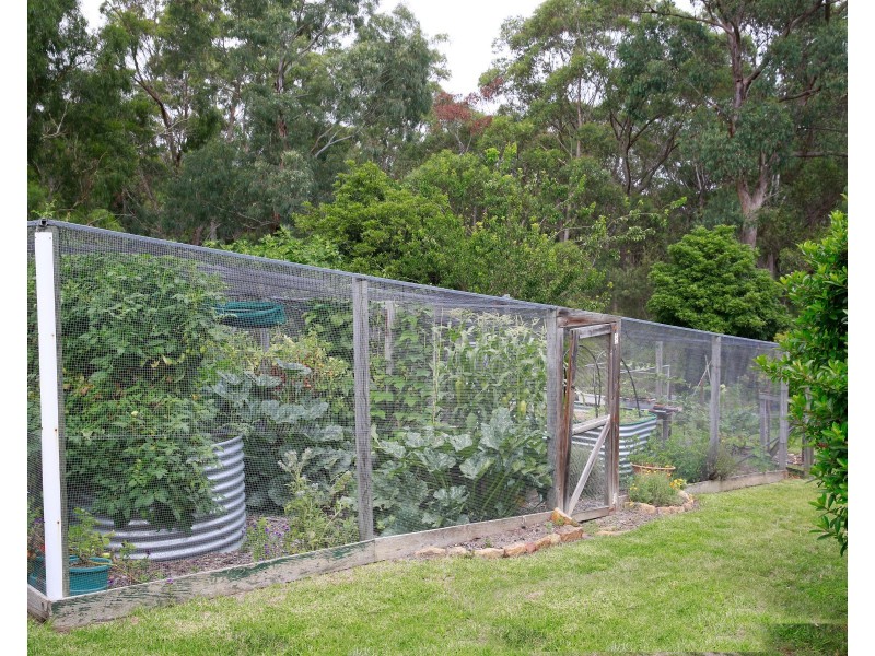 7  Wattle Street, Hill Top NSW 2575