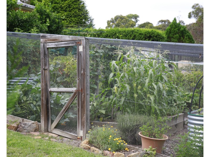 7  Wattle Street, Hill Top NSW 2575