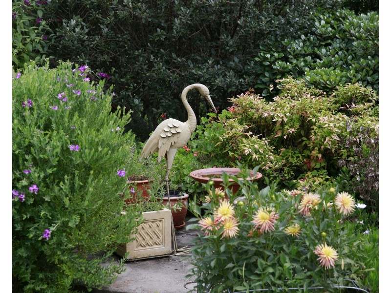 7  Wattle Street, Hill Top NSW 2575