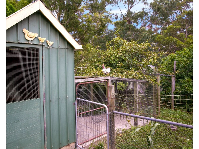 7  Wattle Street, Hill Top NSW 2575