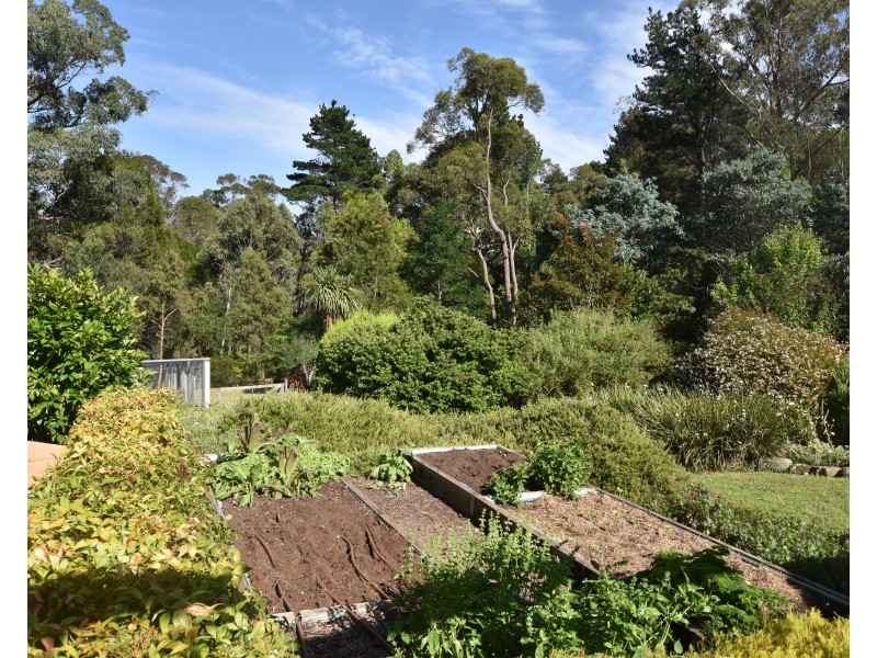 7  Wattle Street, Hill Top NSW 2575