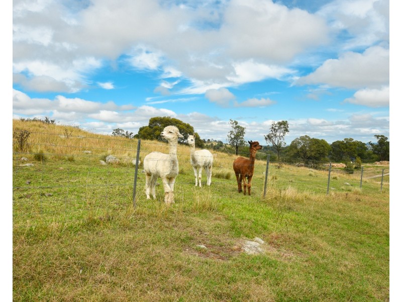 3252  Wombeyan Caves Road, Bullio NSW 2575