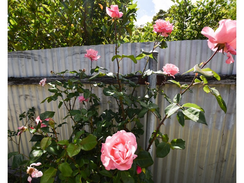 50 Telopea Road, Hill Top NSW 2575
