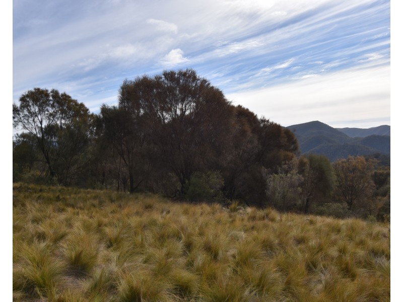 251 O’Briens Road, Bullio NSW 2575