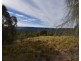 251 O’Briens Road, Bullio NSW 2575