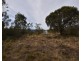 251 O’Briens Road, Bullio NSW 2575