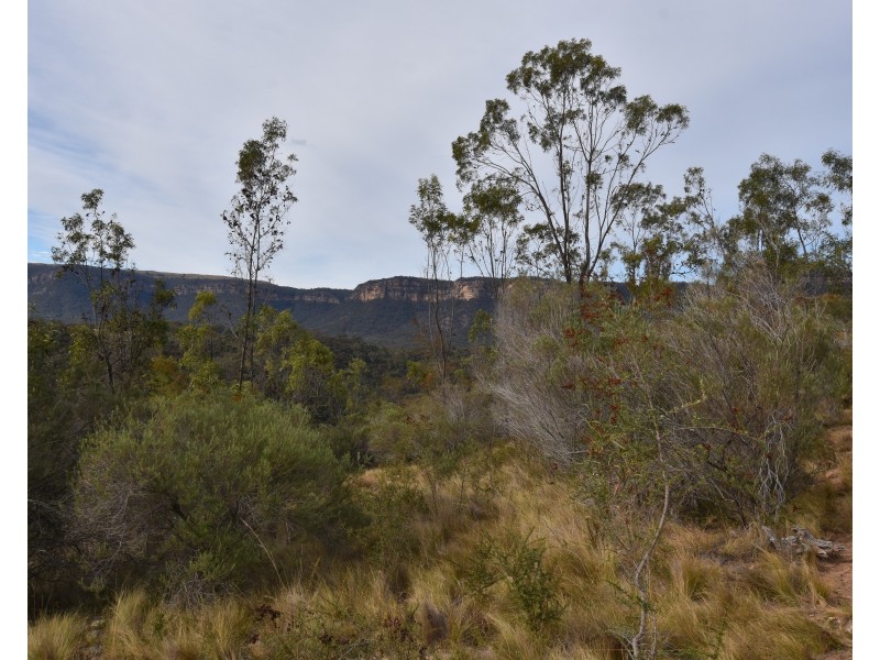 251 O’Briens Road, Bullio NSW 2575