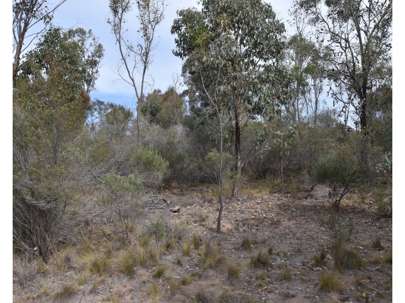 251 O’Briens Road, Bullio NSW 2575