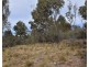 251 O’Briens Road, Bullio NSW 2575