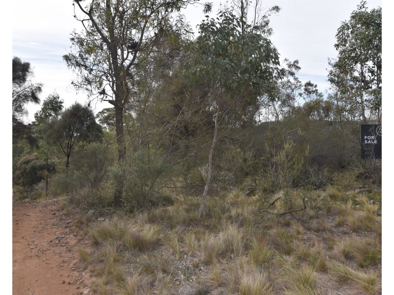 251 O’Briens Road, Bullio NSW 2575