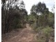 251 O’Briens Road, Bullio NSW 2575