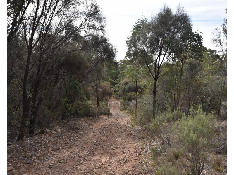 251 O’Briens Road, Bullio NSW 2575