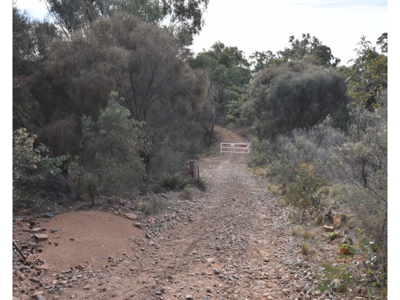 251 O’Briens Road, Bullio NSW 2575