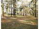10 Drapers Road, Willow Vale NSW 2575