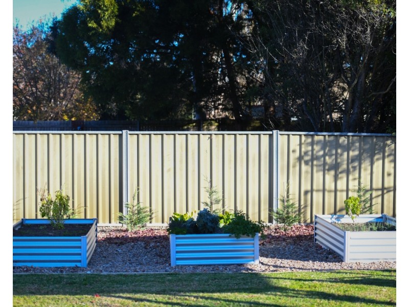 23  Dora Street, Hill Top NSW 2575